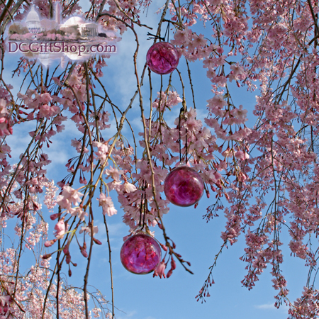 cherry tree blossom japan. Cherry Blossom Glass Balls