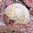 Washington DC Glass Cherry Blossom Ornament