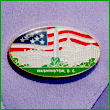 Washington DC Souvenir Pin