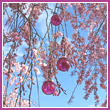 Cherry Blossom Glass Balls