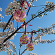 Sakura Peace Glass Balls (Set of 3)