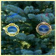 White House North and South Portico Ornament Gift Set