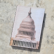 Capitol Dome Journal