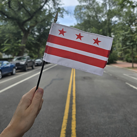 District of Columbia 4 x 6 Mini Flag
