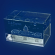 The US Capitol Glass Paperweight