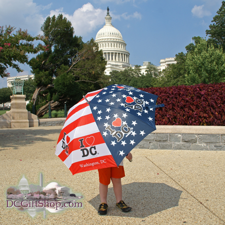 Washington DC Patriotic Umbrella