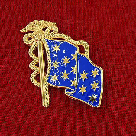 Commander-in-Chief Flag Pin