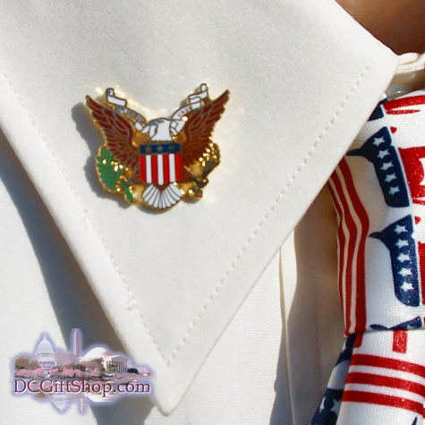 American Eagle Pin