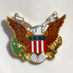American Eagle Pin