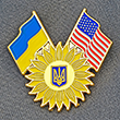 Ukraine United States Sunflower Brooch