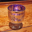 Purple Washington DC Metallic Shot Glass