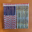 American Flag and US Dollar Pencil Set