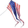 46 in. Flo-Train Delta Kite with 10ft Tail