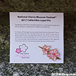 2017 Cherry Blossom Pin
