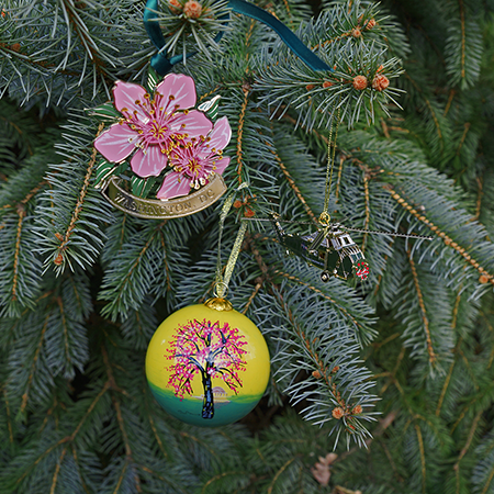 2019 Washington DC Cherry Blossom Ornament Gift Set