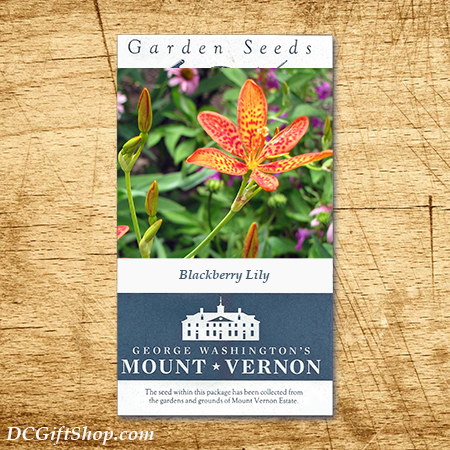 Blackberry Lily Heirloom Seeds - 3 pack