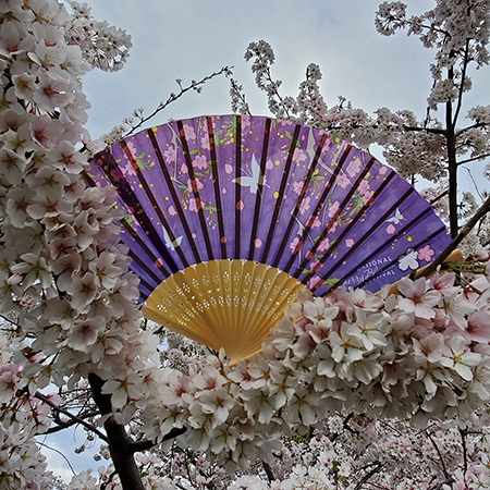 2019 National Cherry Blossom Festival Fan