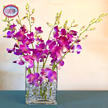 Exotic Purple Dendrobium Orchid Arrangement