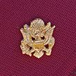 Gold Great Seal of the United States Lapel Pin