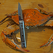 Maryland Pewter Crab Knife