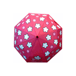 Mini Pop Up Festival Umbrella