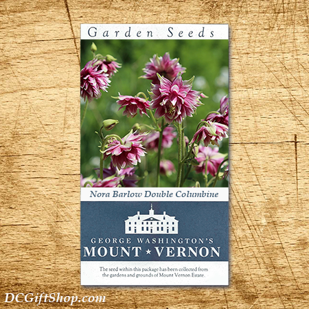 Nora Barlow Columbine Heirloom Seeds - 3 pack