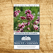 Nora Barlow Columbine Heirloom Seeds - 3 pack