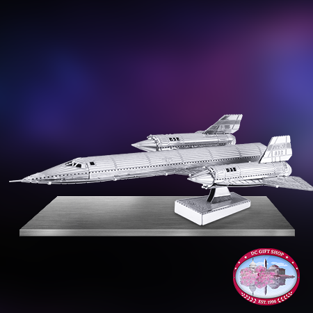 SR71 Blackbird 3D Laser Cut Model