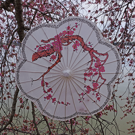 Official Sakura Paper Parasol