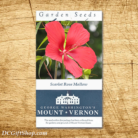 Scarlet Rose Mallow Heirloom Seeds - 3 pack