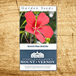 Scarlet Rose Mallow Heirloom Seeds - 3 pack