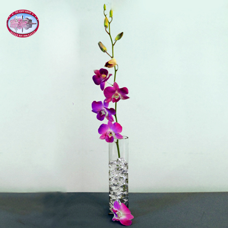 Single Purple Dendrobium Orchid with Vase