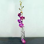 Single Purple Dendrobium Orchid with Vase