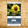 Colonial Sunflower Heirloom Seeds - 3 pack