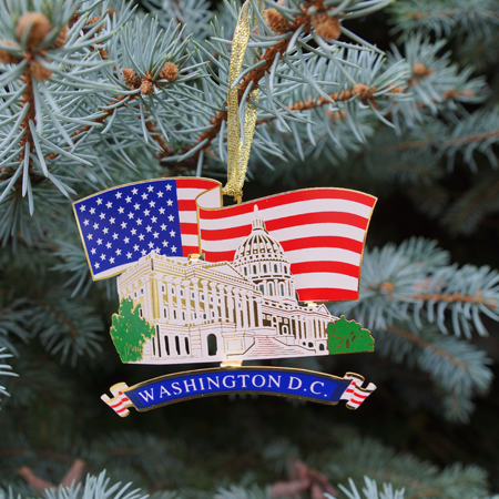 Hasil gambar untuk usa flag washington dc