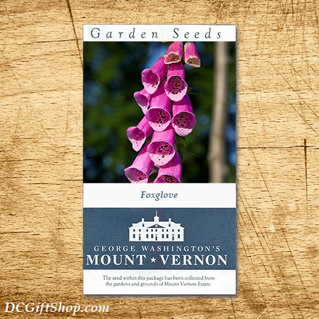 American Foxglove Heirloom Seeds - 3 pack