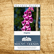 American Foxglove Heirloom Seeds - 3 pack