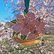 Washington DC Cherry Blossom Ornament